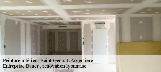 Peinture intérieur  saint-genis-l-argentiere-69610 Entreprise Bauer , renovation lyonnaise-4