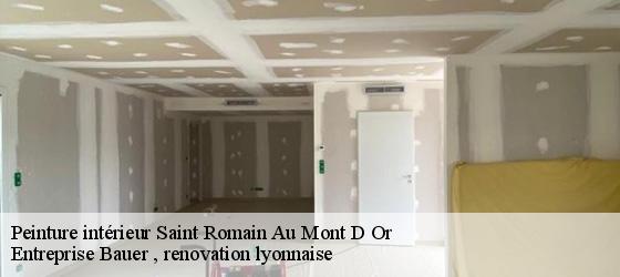 Peinture intérieur  saint-romain-au-mont-d-or-69270 Entreprise Bauer , renovation lyonnaise-4
