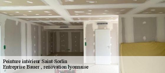 Peinture intérieur  saint-sorlin-69440 Entreprise Bauer , renovation lyonnaise-4