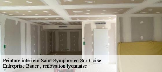 Peinture intérieur  saint-symphorien-sur-coise-69590 Entreprise Bauer , renovation lyonnaise-4