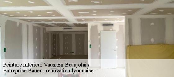 Peinture intérieur vaux-en-beaujolais-69460 Entreprise Bauer , renovation lyonnaise-4