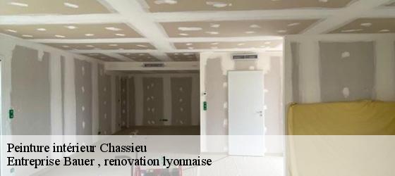 Peinture intérieur  chassieu-69680 Entreprise Bauer , renovation lyonnaise-4