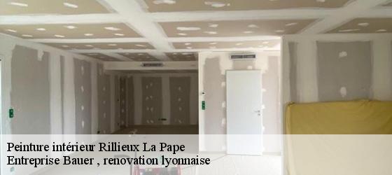 Peinture intérieur rillieux-la-pape-69140 Entreprise Bauer , renovation lyonnaise-4