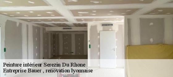 Peinture intérieur  serezin-du-rhone-69360 Entreprise Bauer , renovation lyonnaise-4