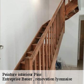 entreprise-de-peinture-interieur-pins-69440-1