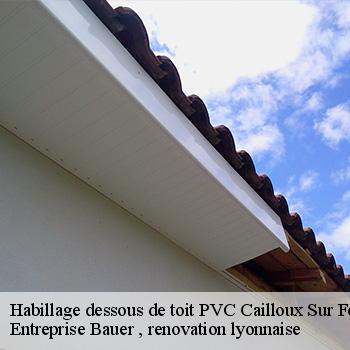 service-d-habillage-dessous-de-toit-en-pvc-cailloux-sur-fontaines-69270-1
