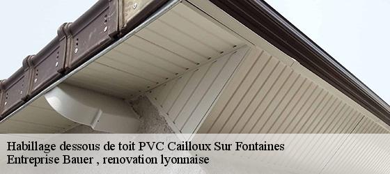 Habillage dessous de toit PVC  cailloux-sur-fontaines-69270 Entreprise Bauer , renovation lyonnaise-4