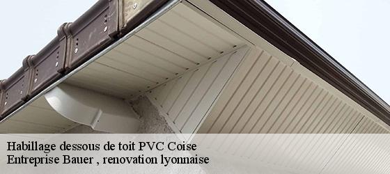 Habillage dessous de toit PVC coise-69590 Entreprise Bauer , renovation lyonnaise-4