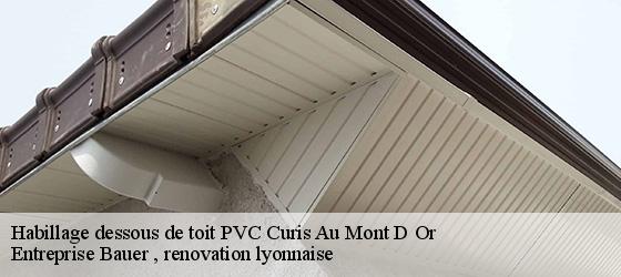 Habillage dessous de toit PVC  curis-au-mont-d-or-69250 Entreprise Bauer , renovation lyonnaise-4