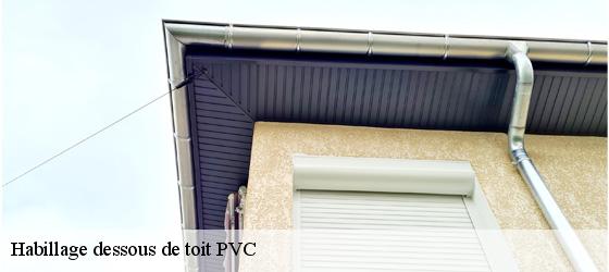 Habillage dessous de toit PVC  odenas-69460 Entreprise Bauer , renovation lyonnaise-6
