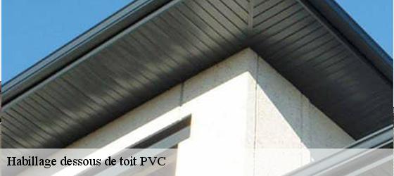 Habillage dessous de toit PVC  saint-priest-69800 Entreprise Bauer , renovation lyonnaise-3