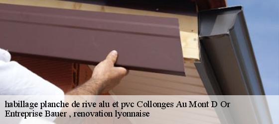 habillage planche de rive alu et pvc  collonges-au-mont-d-or-69660 Entreprise Bauer , renovation lyonnaise-4