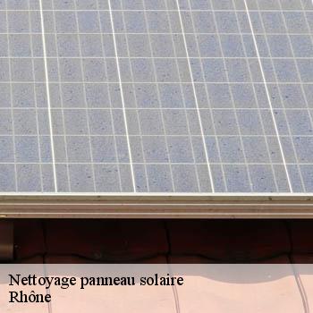 nettoyage-panneau-solaire-69-2