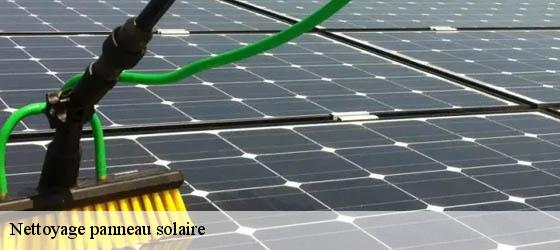 Nettoyage panneau solaire belmont-69380 Entreprise Bauer , renovation lyonnaise-3