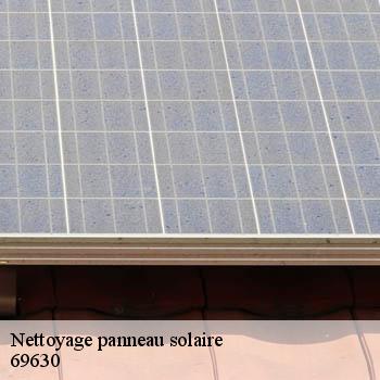 entreprise-nettoyage-panneau-solaire-chaponost-69630-2