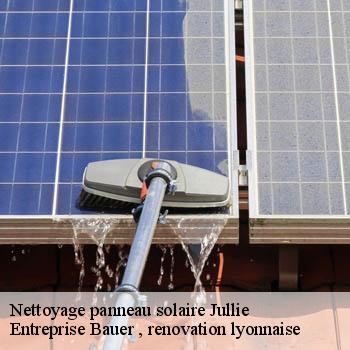 entreprise-nettoyage-panneau-solaire-jullie-69840-1