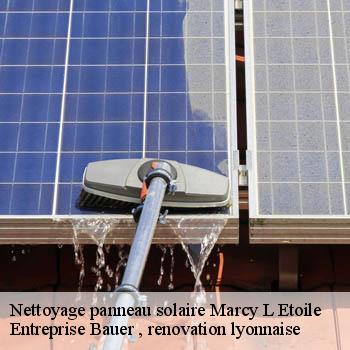 entreprise-nettoyage-panneau-solaire-marcy-l-etoile-69280-1