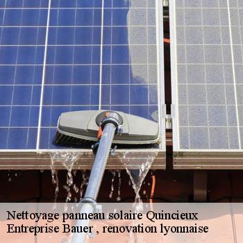 entreprise-nettoyage-panneau-solaire-quincieux-69650-1