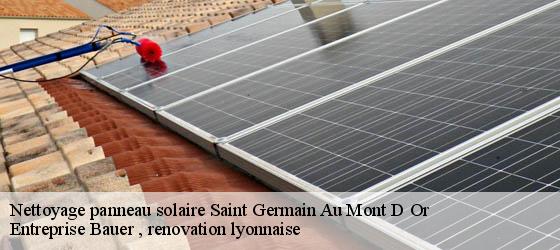Nettoyage panneau solaire  saint-germain-au-mont-d-or-69650 Entreprise Bauer , renovation lyonnaise-4