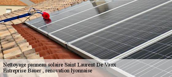 Nettoyage panneau solaire  saint-laurent-de-vaux-69670 Entreprise Bauer , renovation lyonnaise-4