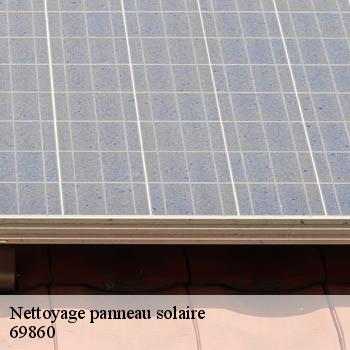 entreprise-nettoyage-panneau-solaire-trades-69860-2