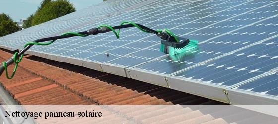 Nettoyage panneau solaire tupin-et-semons-69420 Entreprise Bauer , renovation lyonnaise-6