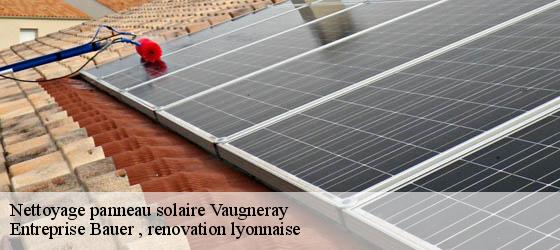 Nettoyage panneau solaire vaugneray-69670 Entreprise Bauer , renovation lyonnaise-4