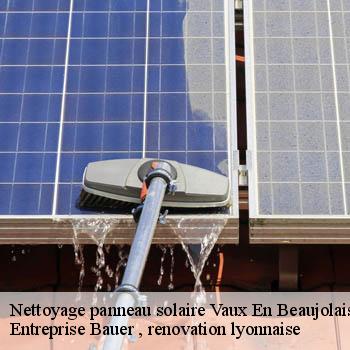 entreprise-nettoyage-panneau-solaire-vaux-en-beaujolais-69460-1