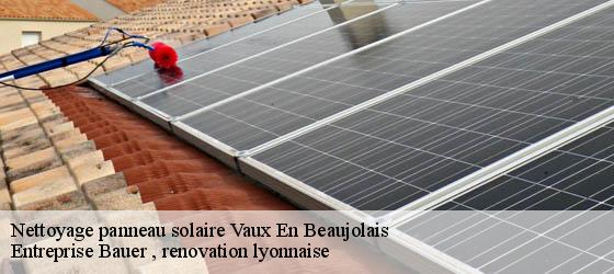 Nettoyage panneau solaire vaux-en-beaujolais-69460 Entreprise Bauer , renovation lyonnaise-4