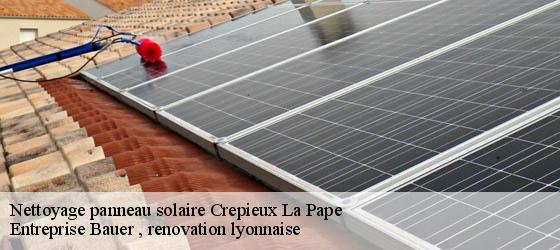 Nettoyage panneau solaire  crepieux-la-pape-69140 Entreprise Bauer , renovation lyonnaise-4
