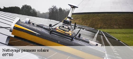 Nettoyage panneau solaire toussieu-69780 Entreprise Bauer , renovation lyonnaise-5