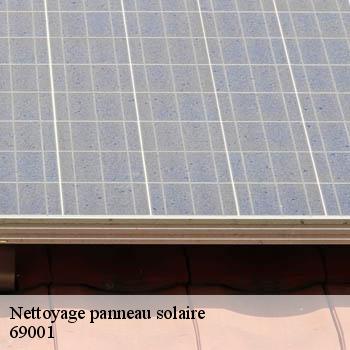 entreprise-nettoyage-panneau-solaire-lyon-1-69001-2