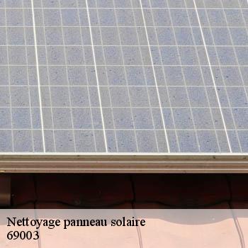 entreprise-nettoyage-panneau-solaire-lyon-3-69003-2