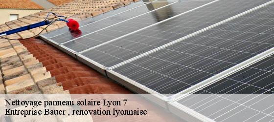 Nettoyage panneau solaire  lyon-7-69007 Entreprise Bauer , renovation lyonnaise-4