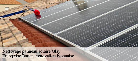 Nettoyage panneau solaire glay-69850 Entreprise Bauer , renovation lyonnaise-4