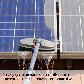 entreprise-nettoyage-panneau-solaire-fillonniere-69440-1