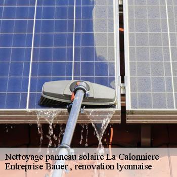 entreprise-nettoyage-panneau-solaire-la-calonniere-69690-1