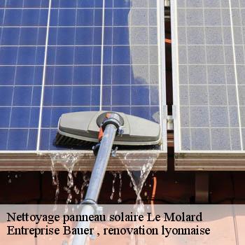 entreprise-nettoyage-panneau-solaire-le-molard-69430-1